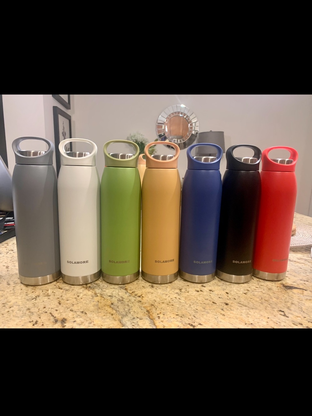 Solamore Stainless Steel Insulated Water Bottles - 7 pcs